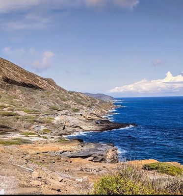 Halona Blowhole Lookout by null