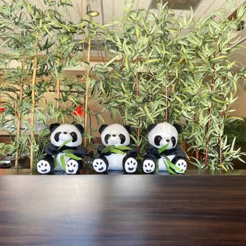 Panda Country Restaurant - pandas and bamboo trees - Chinese Near Me - Santee, California Panda Country Restaurant - pandas and bamboo trees - Chinese Near Me - Santee, California