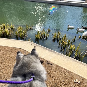Scissortail Park - Parks Near Me - Oklahoma City, Oklahoma Scissortail Park - Parks Near Me - Oklahoma City, Oklahoma