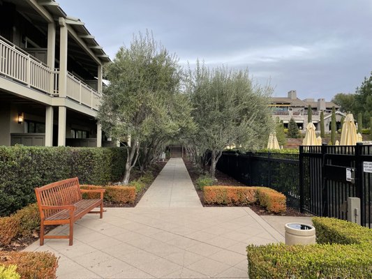 Rosewood Sand Hill by null