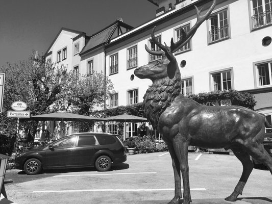 Hotel Hirsch by null