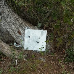 Texas Straight Shooter