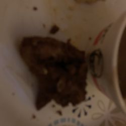 Burnt chicken