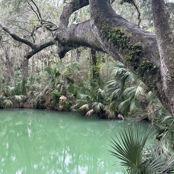 Green Springs Park - Hiking Near Me - Deltona, Florida