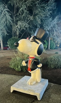 Snoopy's Home Ice by null