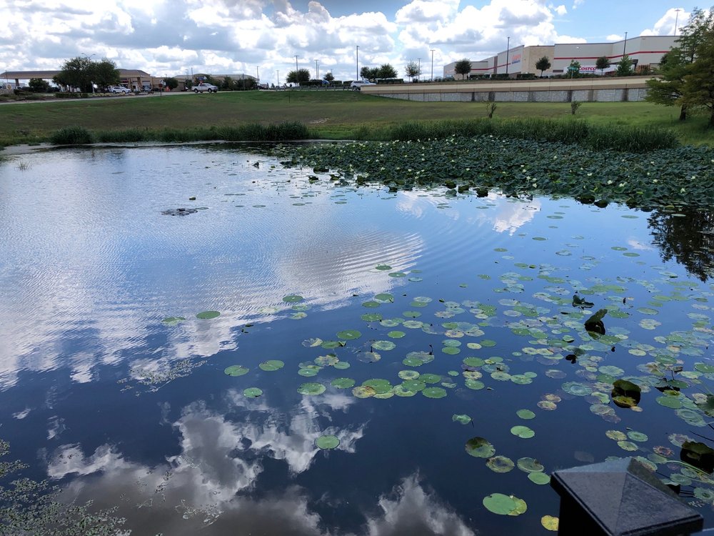 Secluded Willow Park