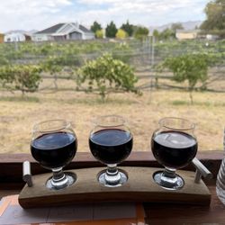 Kruze Rd Winery - Nice view of the vineyard with a 3 glass wine tasting