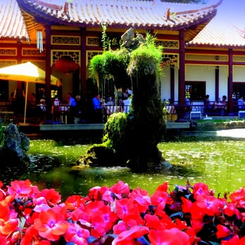 Sichuan - Outside dining by the koi pond - Chinese Near Me - Vienna, 9