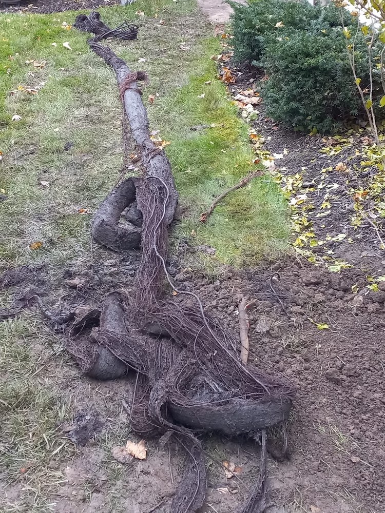 Slide of Jason's Sewer & Drain Services