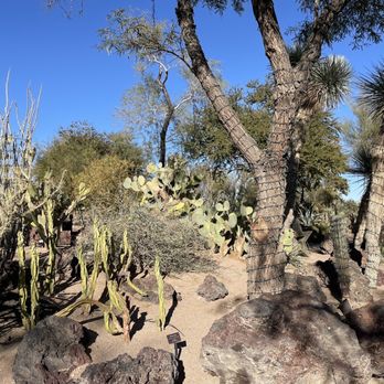 Ethel M Chocolates - Cactus garden - Chocolatiers & Shops Near Me - Las Vegas, Nevada