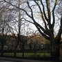Photo of Athole Gardens