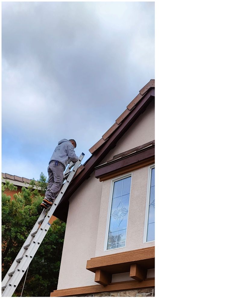 Slide of Dragon's Roofing