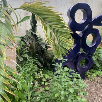 San Antonio Botanical Garden - Palm and Cycad Pavilion - Botanical Gardens Near Me - San Antonio, Texas