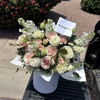 NovaPetal Flower Lab - Florists Near Me - Phoenix, Arizona