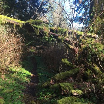 Flaming Geyser State Park - Parks Near Me - Auburn, Washington