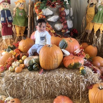 Rancho Bernardo Pumpkin Farm - Lots of photo opps - Pumpkin Patches Near Me - San Diego, California Rancho Bernardo Pumpkin Farm - Lots of photo opps - Pumpkin Patches Near Me - San Diego, California
