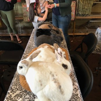 Bunnies in Baskets - Community Service/Non-Profit Near Me - Portland, Oregon Bunnies in Baskets - Community Service/Non-Profit Near Me - Portland, Oregon