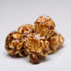 Popcorn Palooza - Popcorn Palooza Caramel Sea Salt Popcorn
