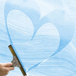Fresh Look Window Washing, Inc. - You will love our work, like many other satisfied Fresh Look clients every single day!