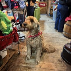 Toys-N-Tiques Collectibles & General Store