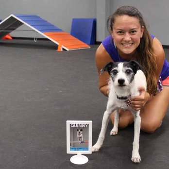 Zoom Room Dog Training - Pet Stores Near Me - Redlands, California Zoom Room Dog Training - Pet Stores Near Me - Redlands, California