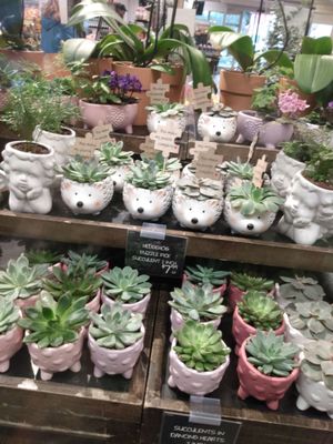 New Leaf Community Markets - Aptos by null