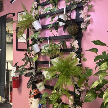 Bonsai Beverage - Coffee & Tea Near Me - Clearwater, Florida