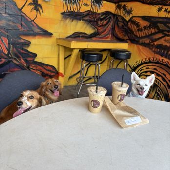 Pu Kena Coffee - Coffee & Tea Near Me - Aiea, Hawaii Pu Kena Coffee - Coffee & Tea Near Me - Aiea, Hawaii