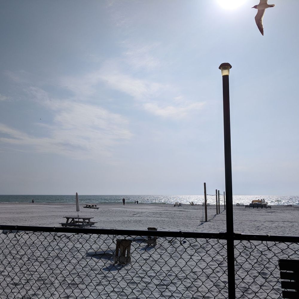 Top 10 Best Bikini Bar in Tampa Bay, FL Last Updated August 2021 Yelp