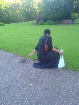 Museum Gardens by null