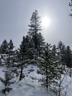 Staunton State Park by null