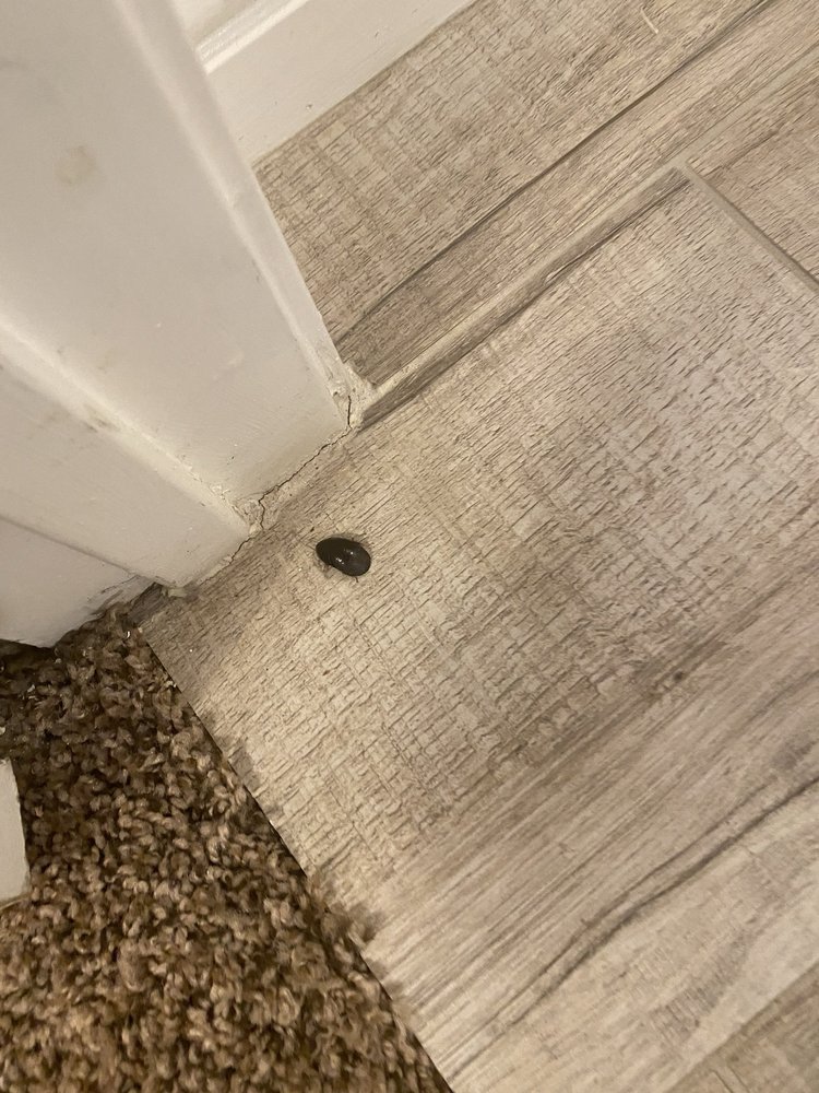 RealtyFelix - property management company in Tucson, AZ