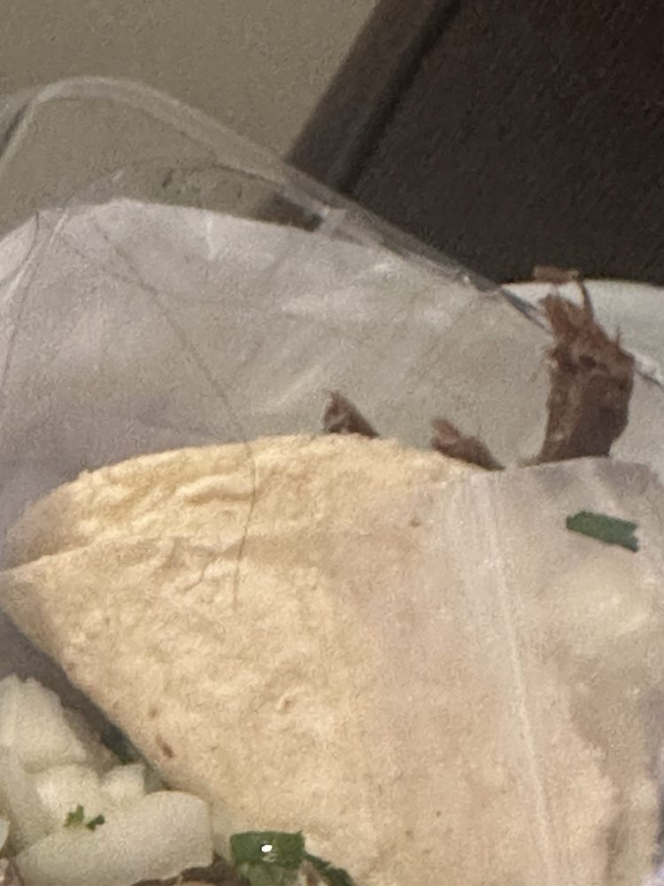 Tortilleria & Taqueria La Reyna, LLC