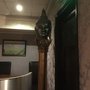 Photo of Bangkok Bar & Restaurant