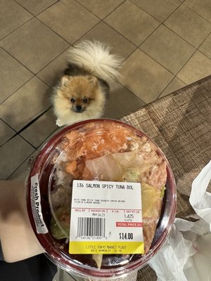 Little Tokyo Sushi by null