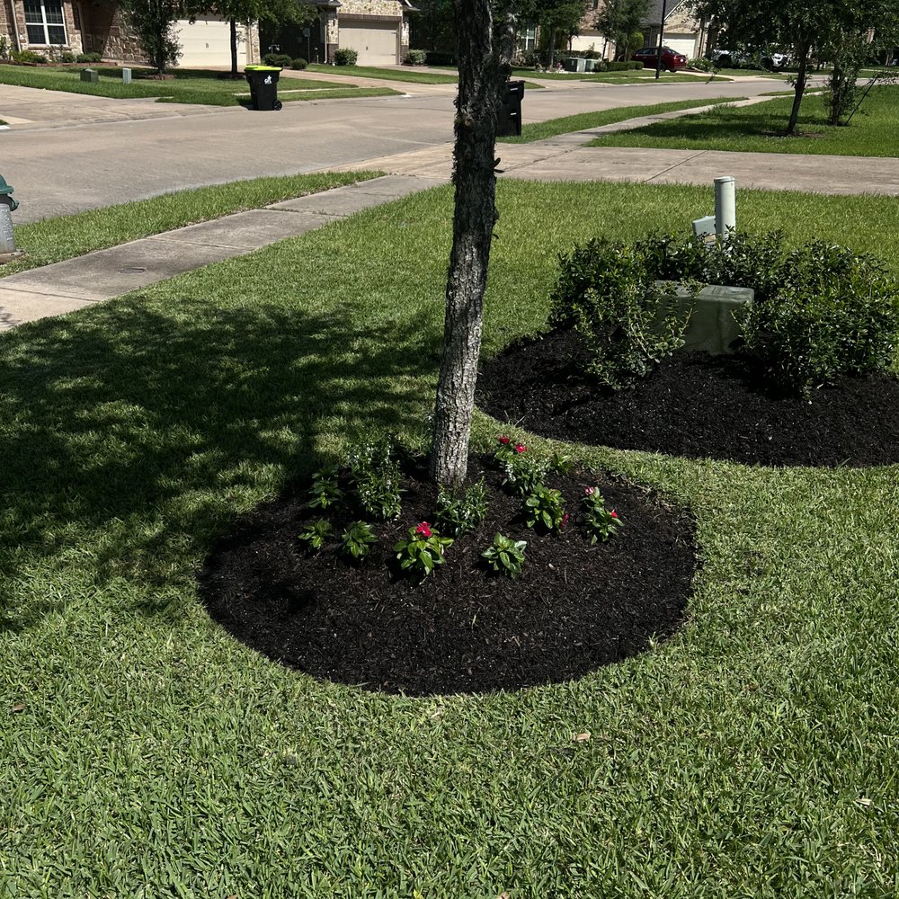 CEA Landscaping And Maintenance - Landscaping Near Me CEA Landscaping And Maintenance - Landscaping Near Me