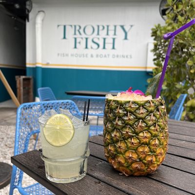 Trophy Fish by null