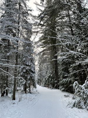 Arrowhead Provincial Park by null