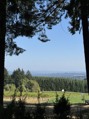 Six Peaks Winery by null