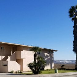 San Diego Holistic Tree Care - The palm trees in the front yard were very over grown and were an eyesore.