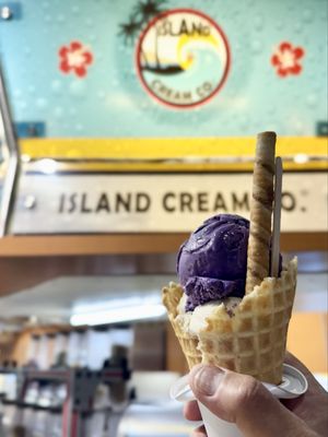 Island Cream Co. by null
