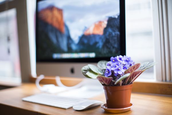 Check Inn HK by null