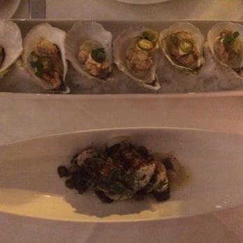 Ostra - Our first course: native crisp oysters (top) and grilled octopus (bottom). Both were phenomenal! - Seafood Near Me - Boston, Massachusetts Ostra - Our first course: native crisp oysters (top) and grilled octopus (bottom). Both were phenomenal! - Seafood Near Me - Boston, Massachusetts