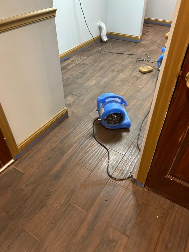 Slide of Nature-Works