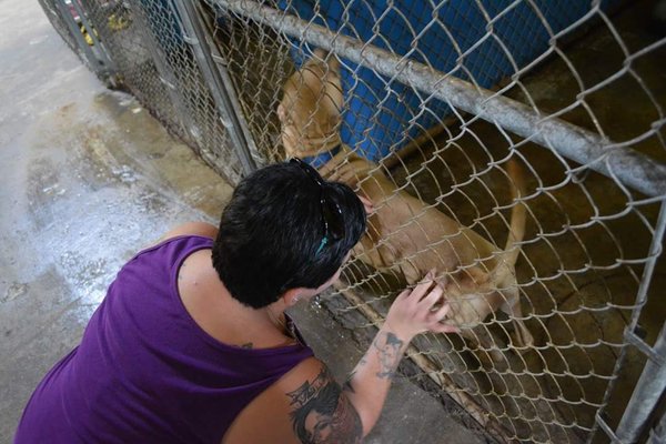 VILLALOBOS RESCUE CENTER - Updated July 2025 - 81 Photos & 80 Reviews