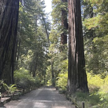 Drive-Thru Tree - Parks Near Me - Leggett, California Drive-Thru Tree - Parks Near Me - Leggett, California