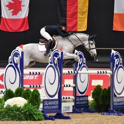 Equine Odyssey
