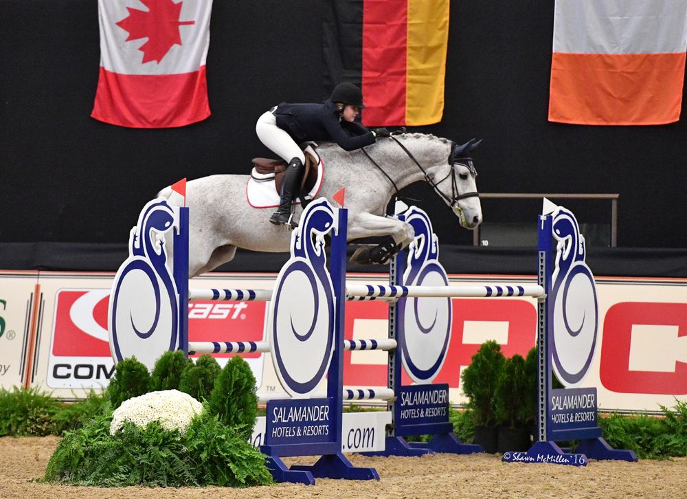 Equine Odyssey - equestrian in Dexter, MI