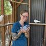 Photo of Winged Wellness Vet Clinic