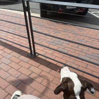 Green Lizard Cycling - Patio area - Coffee & Tea Near Me - Herndon, Virginia